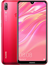 Y7 2019